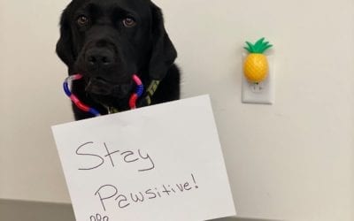 REACH and Continuing Ed Course Catalogue is out!