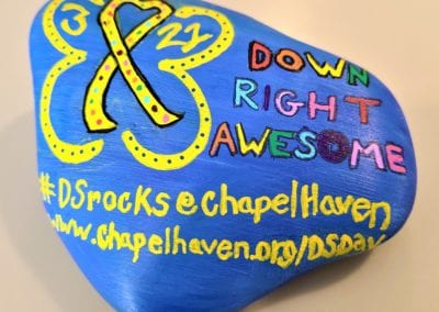 DS Rocks logo